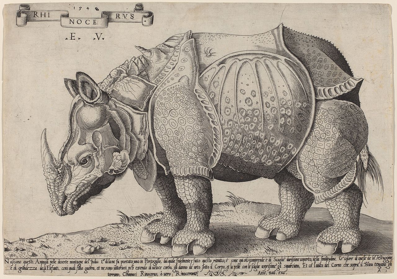 Enea Vico after Albrecht Dürer - The Rhinoceros, 1548